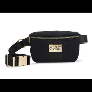 nwt Badgley Mischka cross body bag